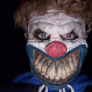 Meet your Posher, Bridger